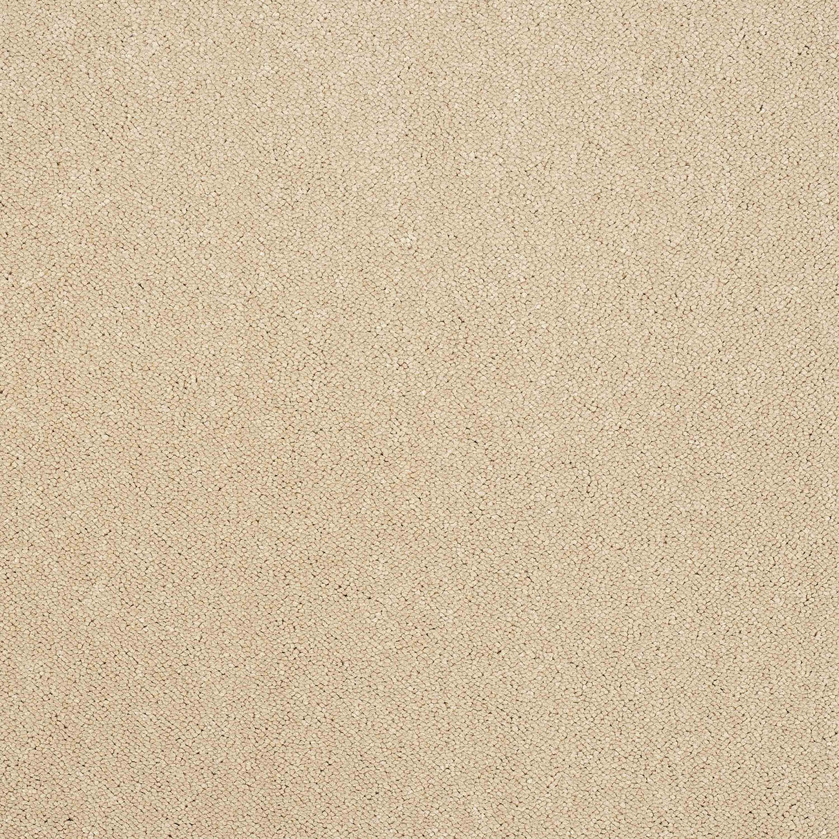 Pure Elegance Carpet