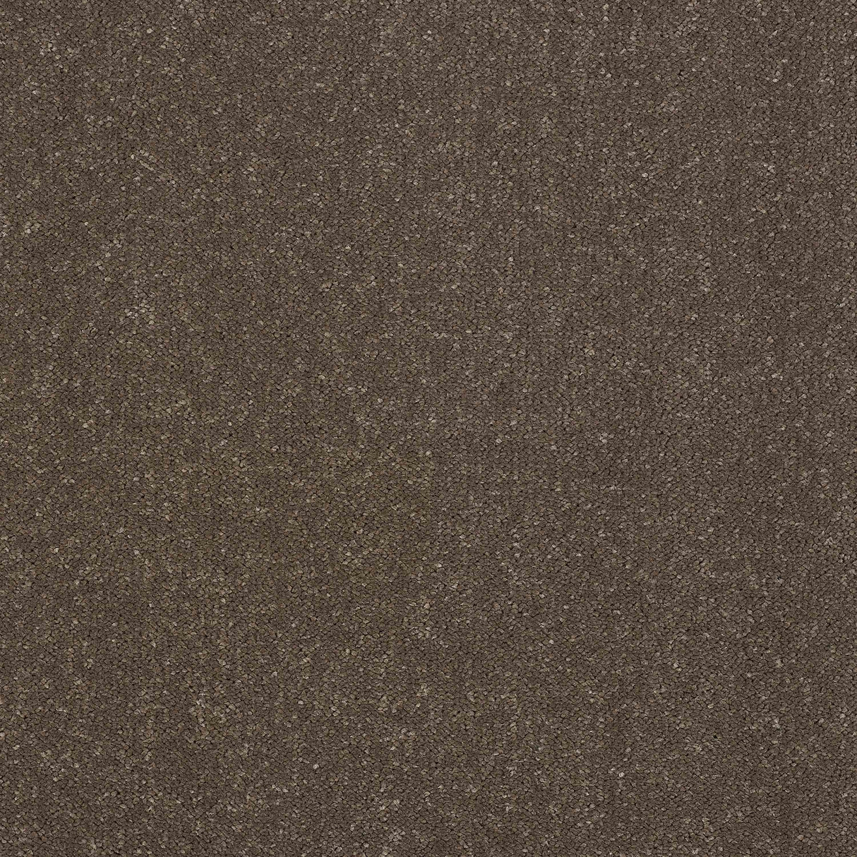 Pure Elegance Carpet