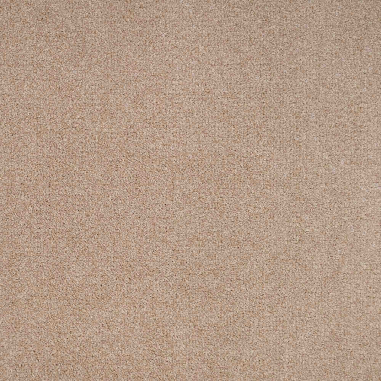 Chiltern Heathers Carpet