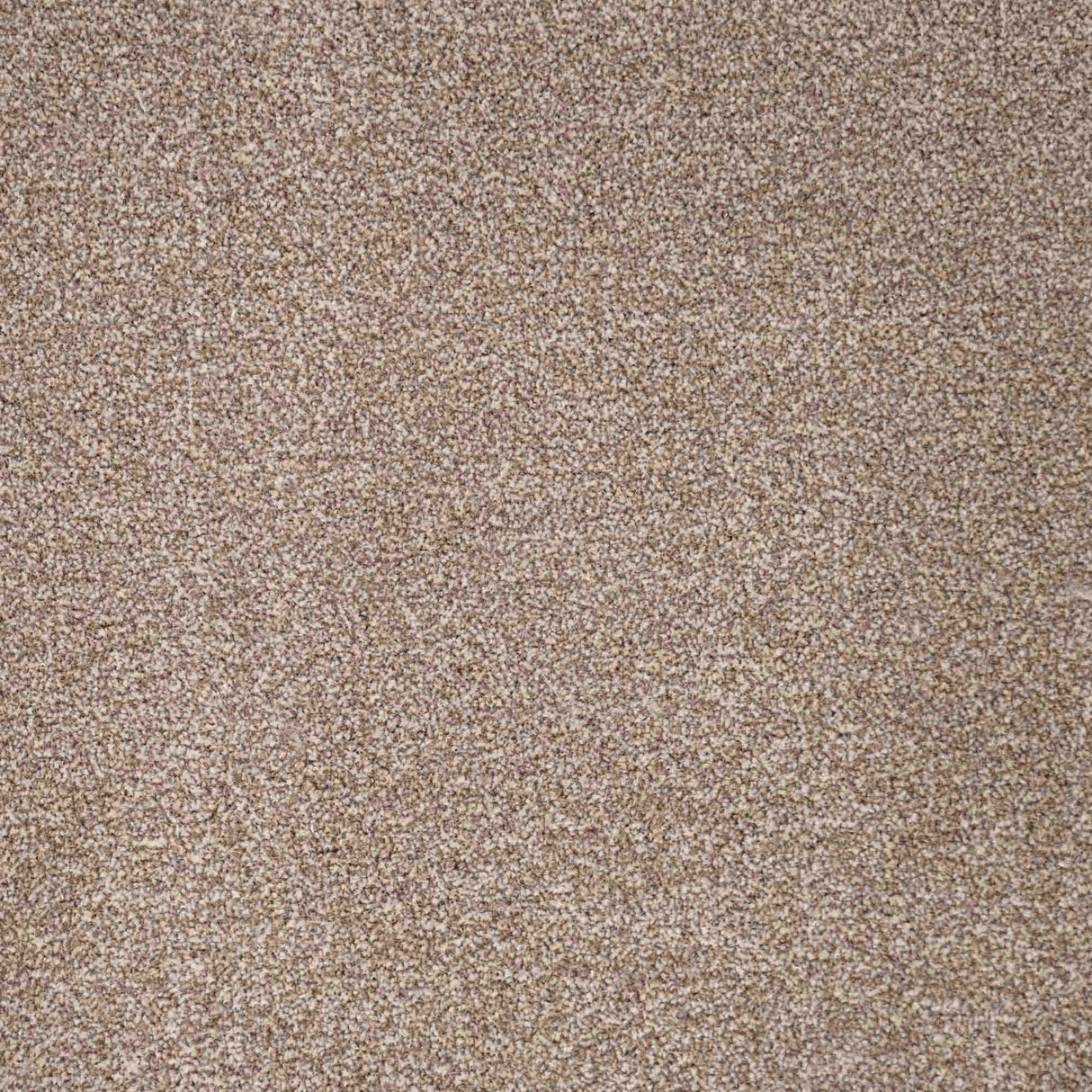 Chiltern Heathers Carpet