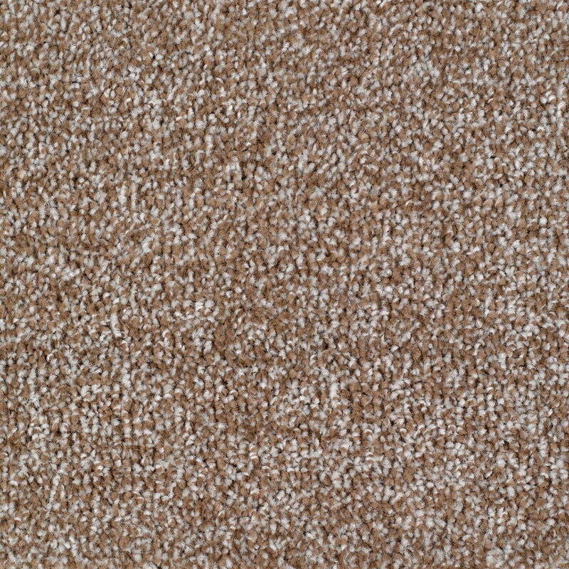 Carrick Cove Carpet