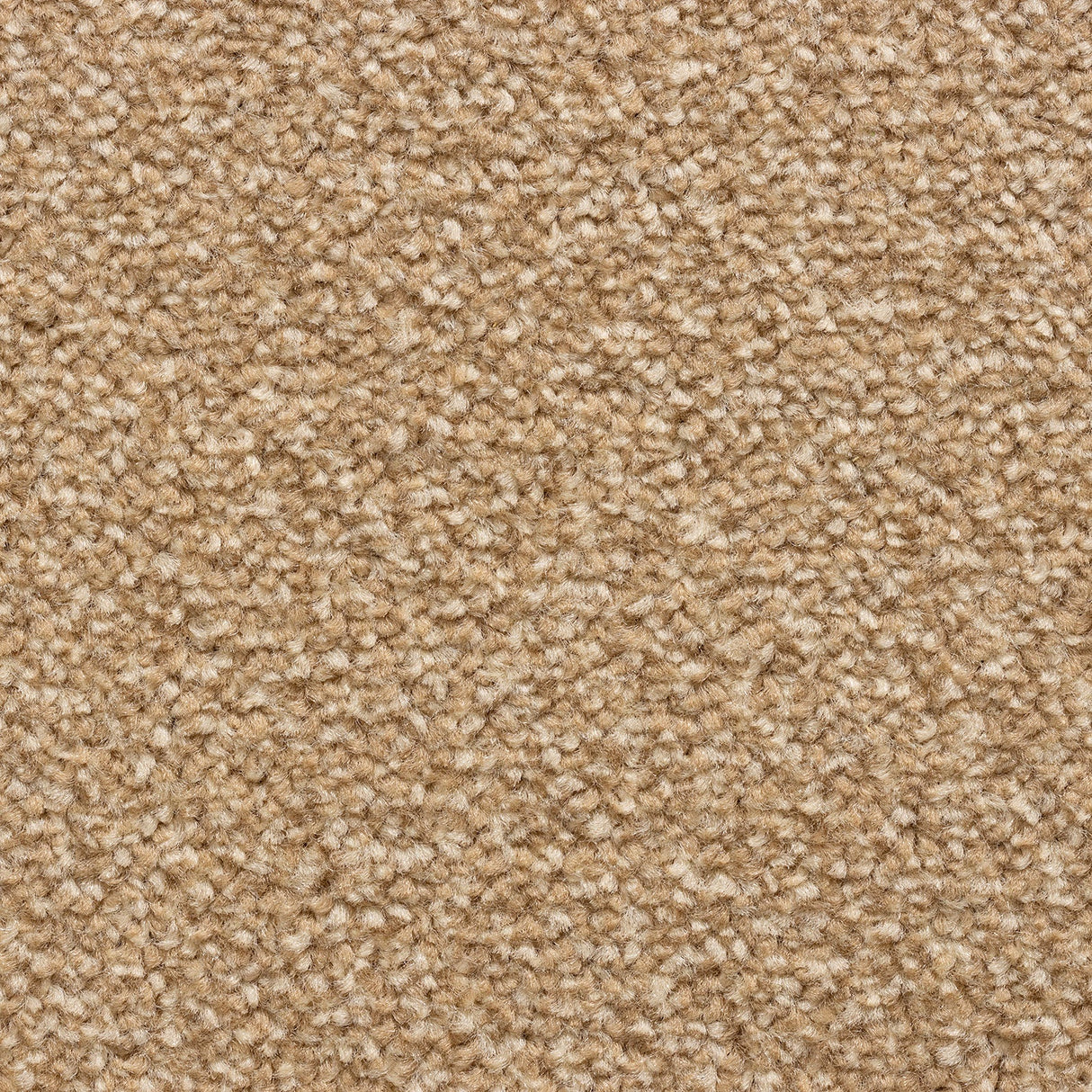 Cedar Falls Carpet