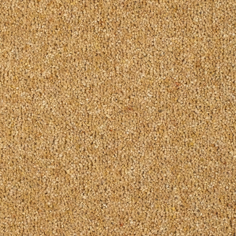 Fairbourne Carpet