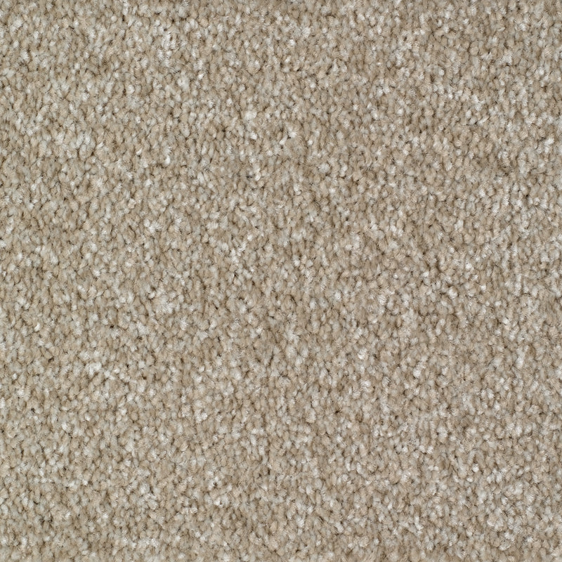 Rye Carpet