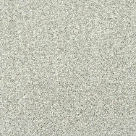 Caress Carpet