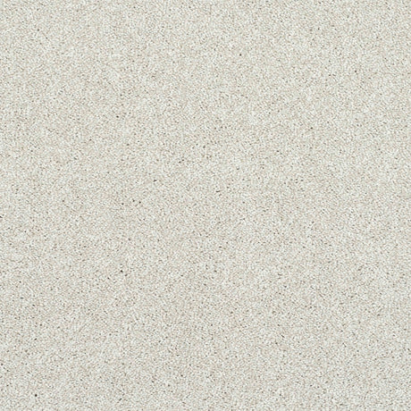 Caress Carpet