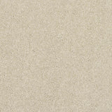 Caress Carpet
