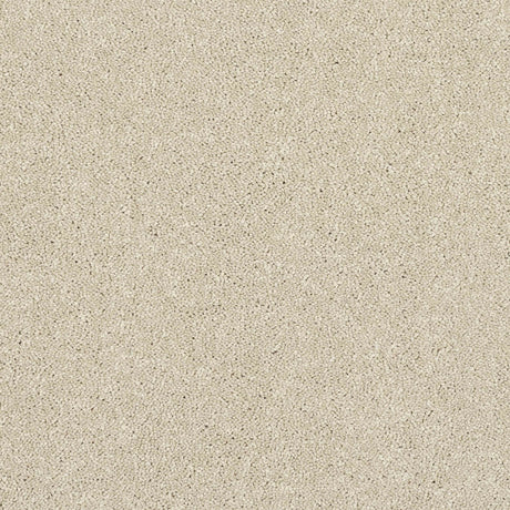 Caress Carpet
