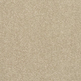 Caress Carpet