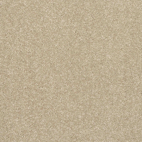 Caress Carpet
