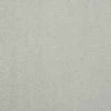 Pure Elegance Carpet