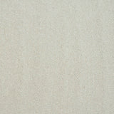 Pure Elegance Carpet