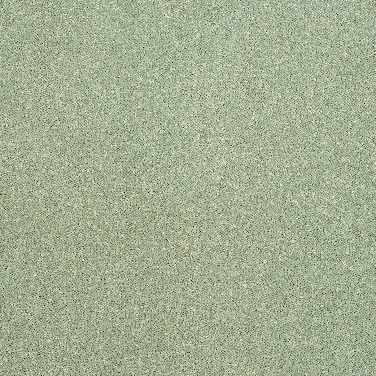 Pure Elegance Carpet