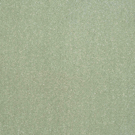 Pure Elegance Carpet