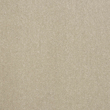 Pure Elegance Carpet