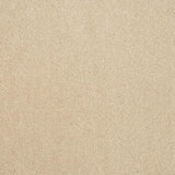 Pure Elegance Carpet