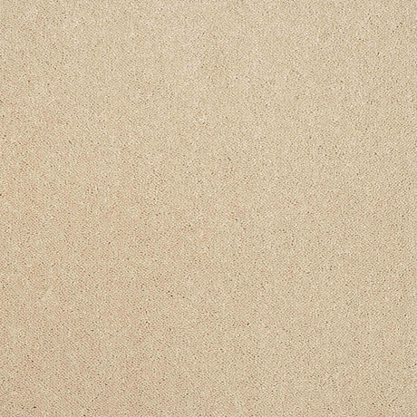 Pure Elegance Carpet