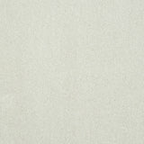 Pure Elegance Carpet