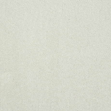 Pure Elegance Carpet
