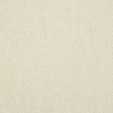 Pure Elegance Carpet