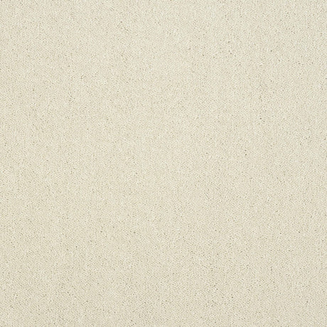 Pure Elegance Carpet