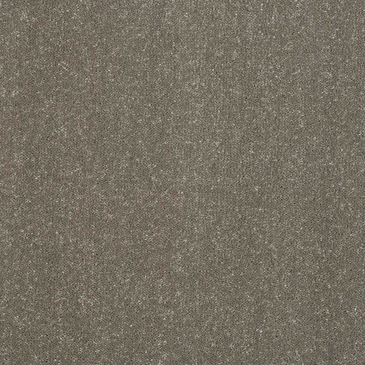 Pure Elegance Carpet