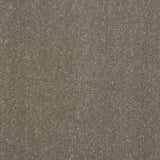 Pure Elegance Carpet