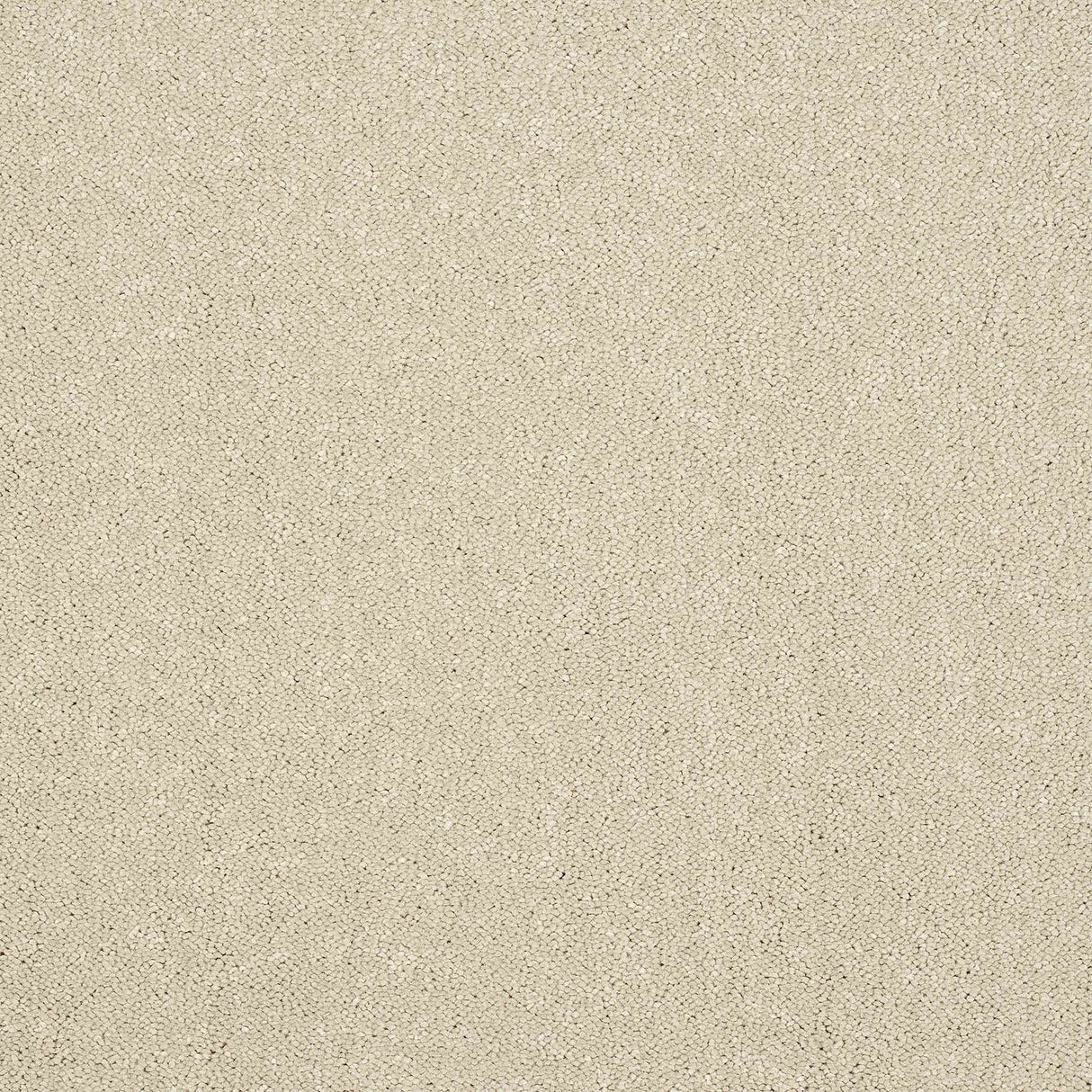 Pure Elegance Carpet