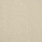 Pure Elegance Carpet