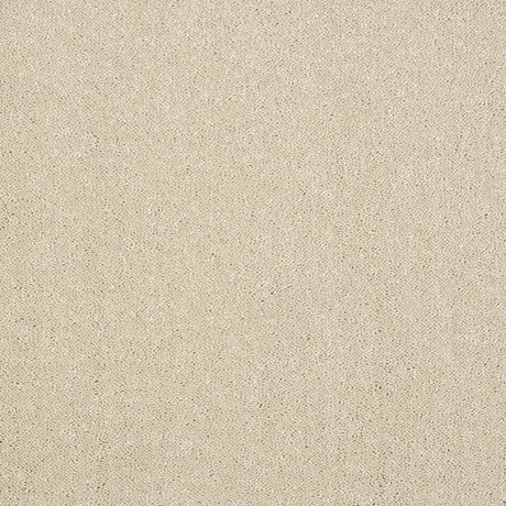 Pure Elegance Carpet