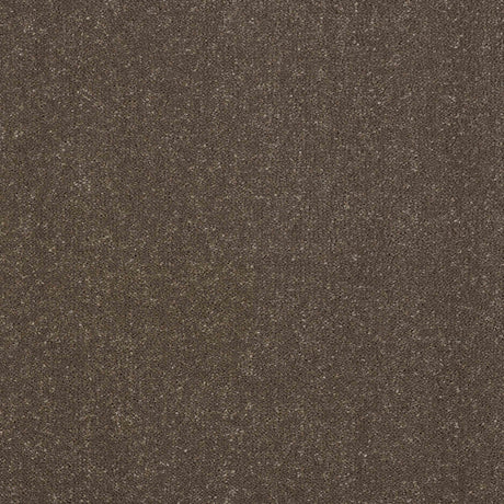 Pure Elegance Carpet