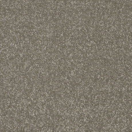 Twist Carpet