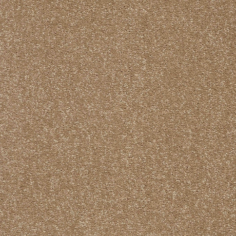 Twist Carpet