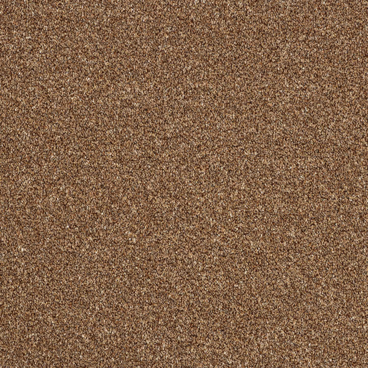 Rustique Twist Carpet