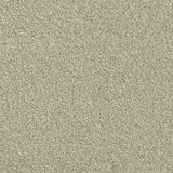 Rustique Twist Carpet