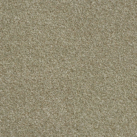 Rustique Twist Carpet