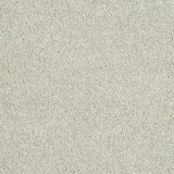 Hidden Depths Carpet