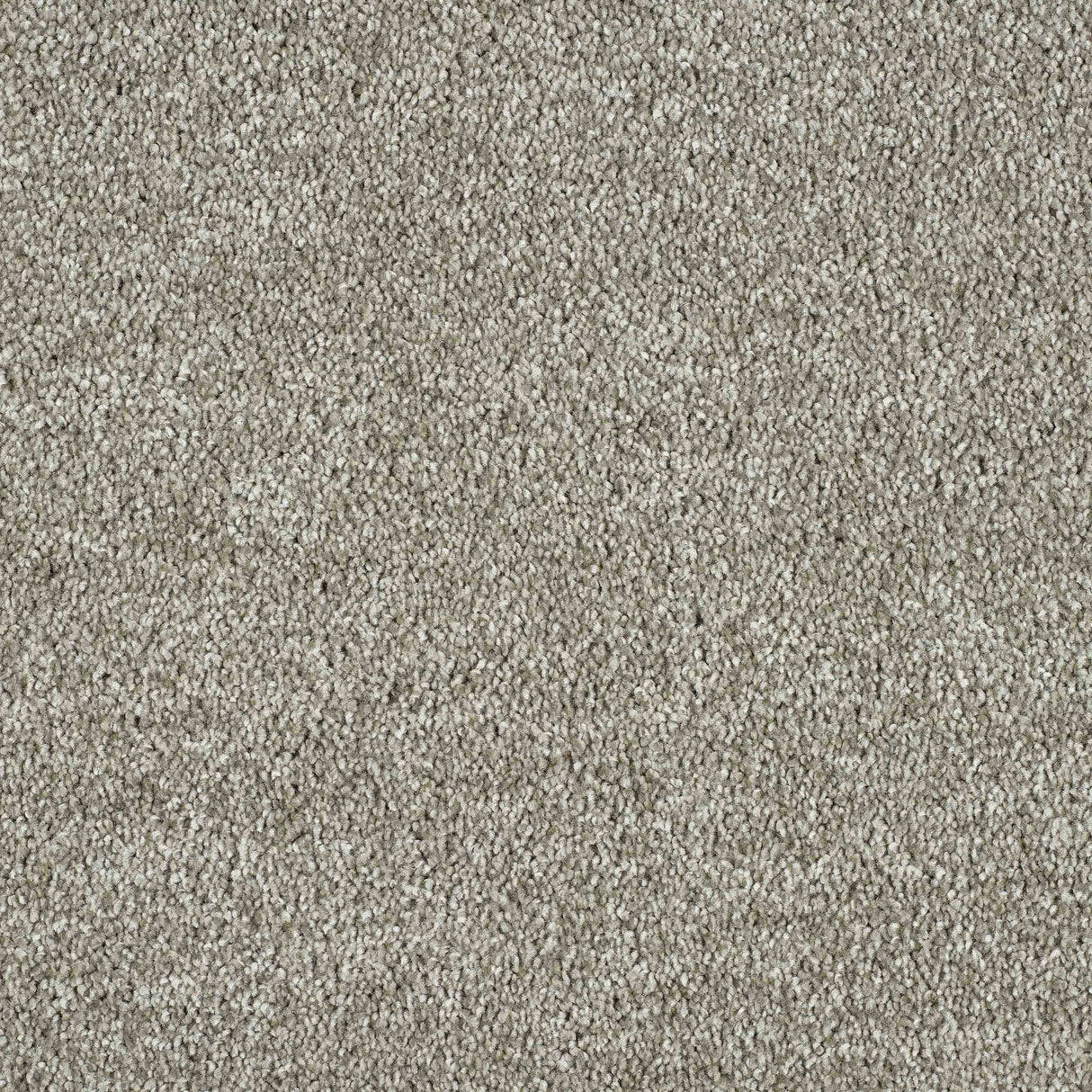 Hidden Depths Carpet