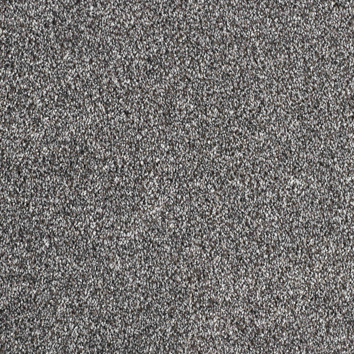 Hidden Depths Carpet