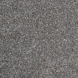 Hidden Depths Carpet