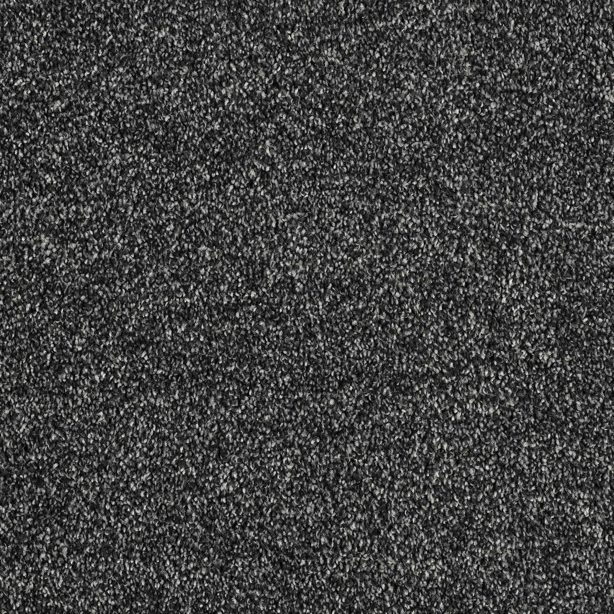 Hidden Depths Carpet