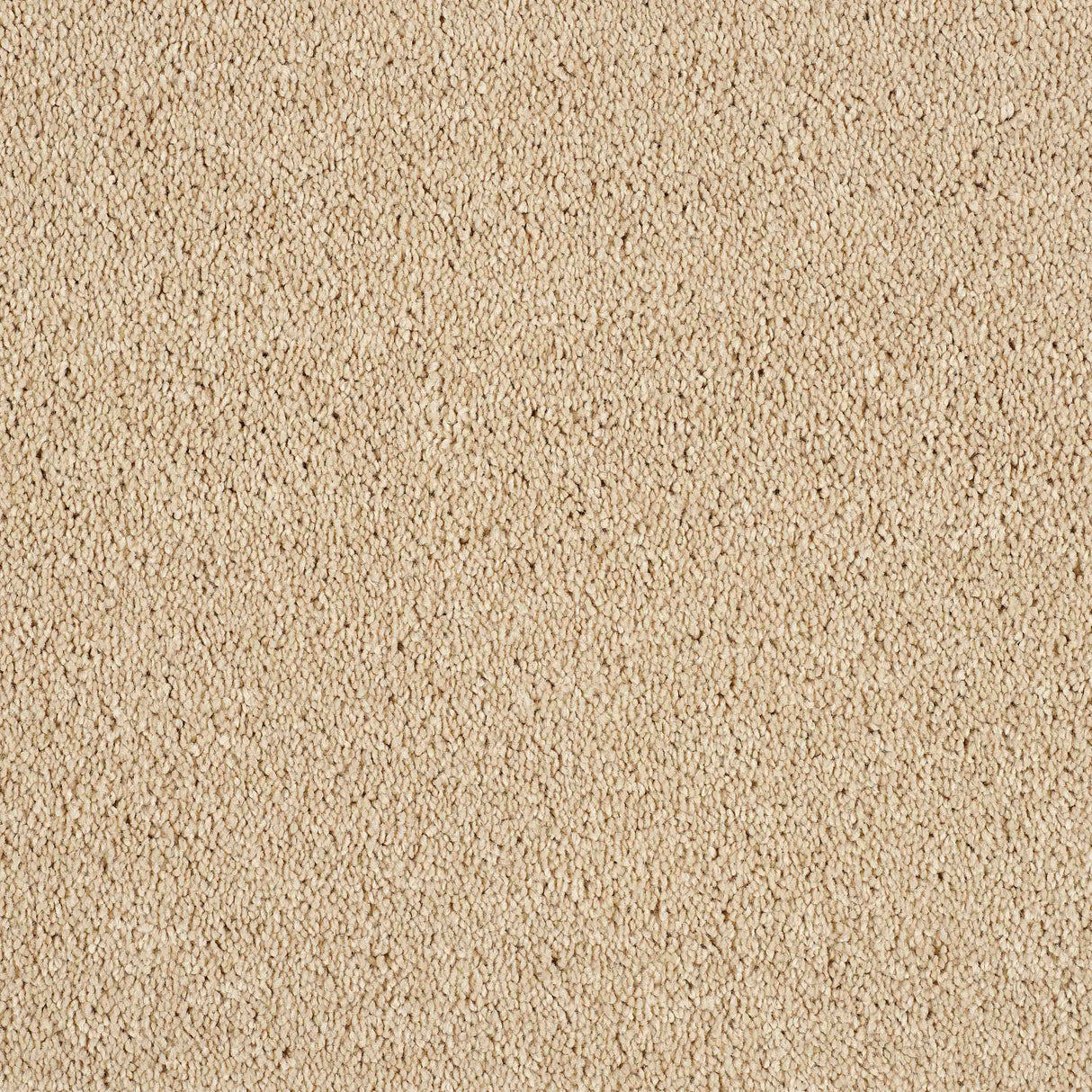 Hidden Depths Carpet