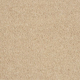 Hidden Depths Carpet