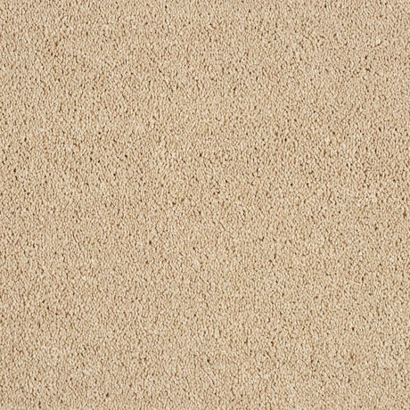 Hidden Depths Carpet