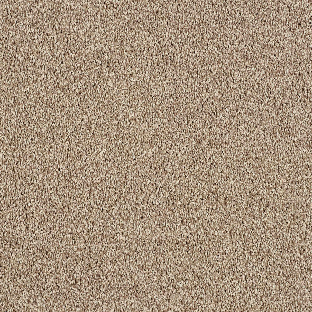 Hidden Depths Carpet