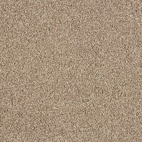 Hidden Depths Carpet