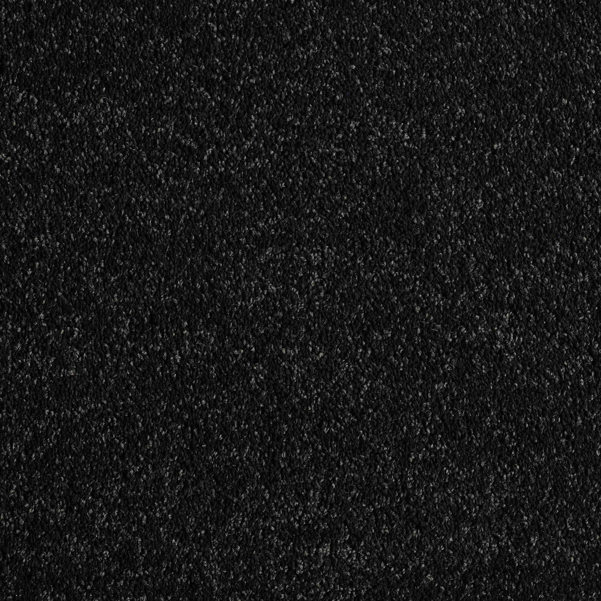 Hidden Depths Carpet