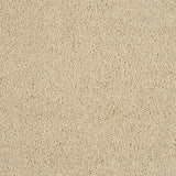 Hidden Depths Carpet