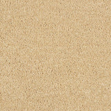 Hidden Depths Carpet