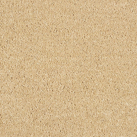 Hidden Depths Carpet